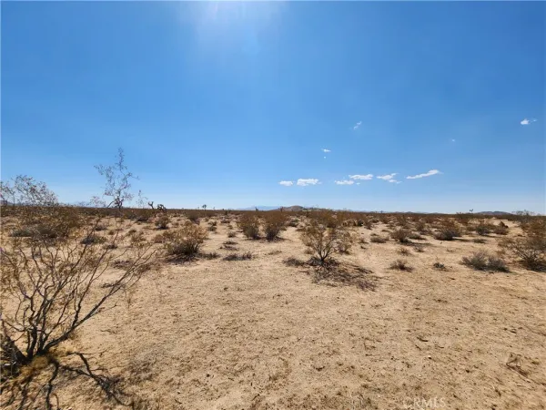 a view of a beach with a building in the background