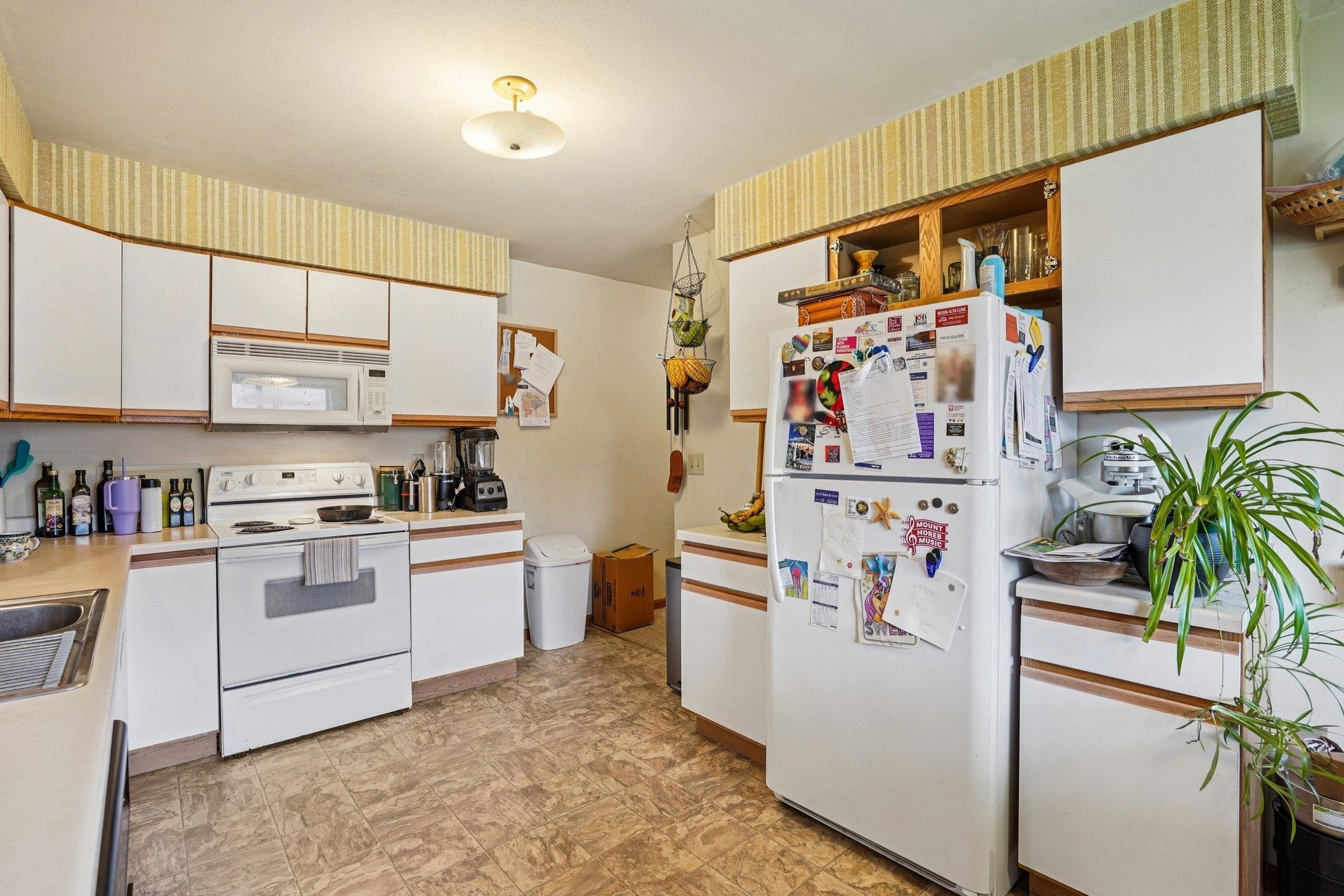 101-103 West Garfield Street Mount Horeb, WI 53572 - Photo 34 of 44