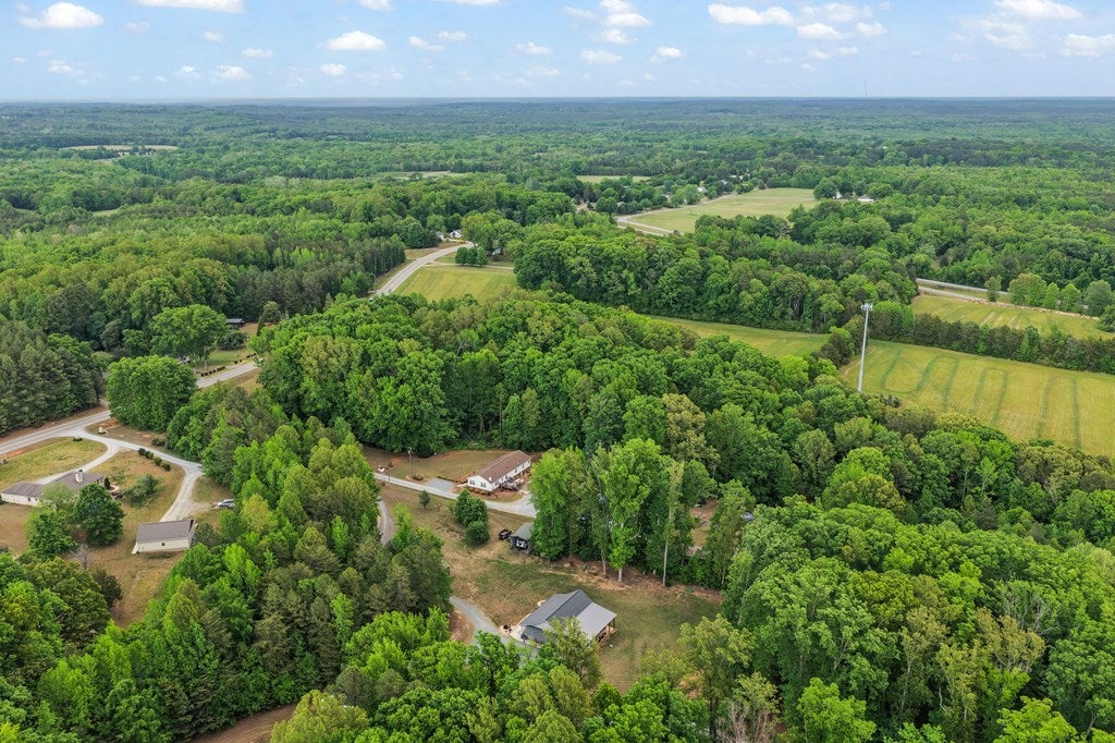 3064 Bellevue Road Halifax, VA 24558 - Photo 9 of 56 Gallery Image 9