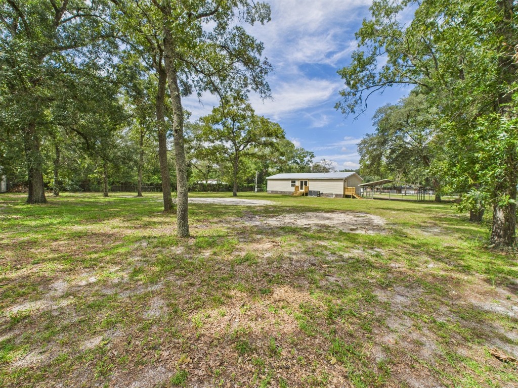 85490 Alene Road Yulee, FL 32097 - Photo 43 of 49 a view of a trees in a yard