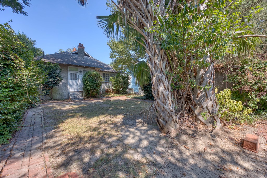 2904 Beacon Avenue Columbus, GA 31904 - Photo 33 of 39 a view of a yard with plants and trees