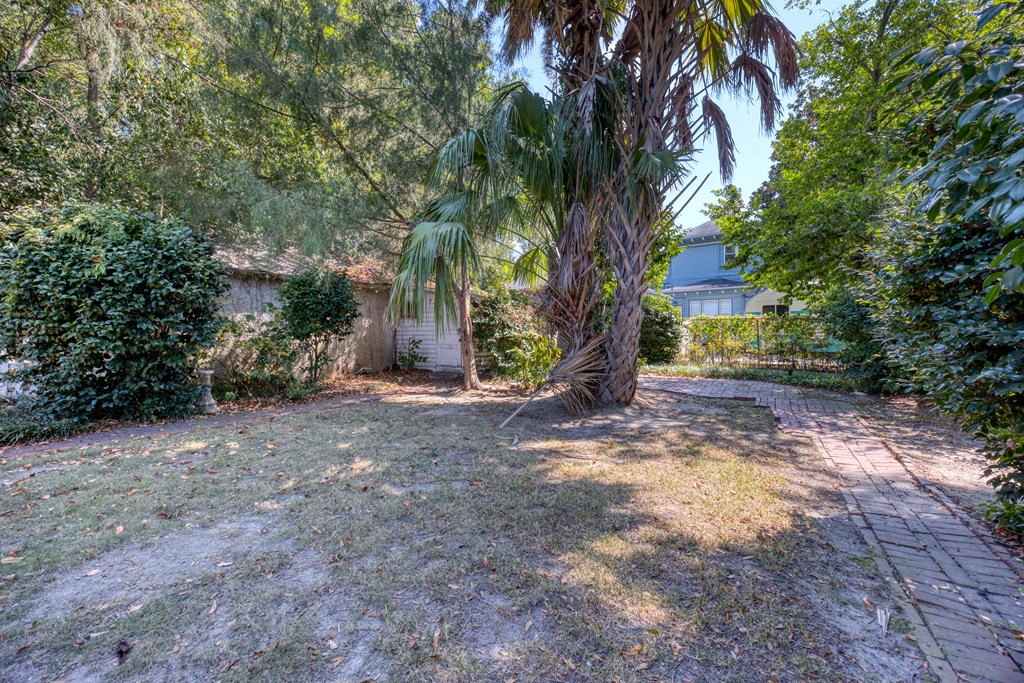 2904 Beacon Avenue Columbus, GA 31904 - Photo 34 of 39 a view of a yard with plants and trees