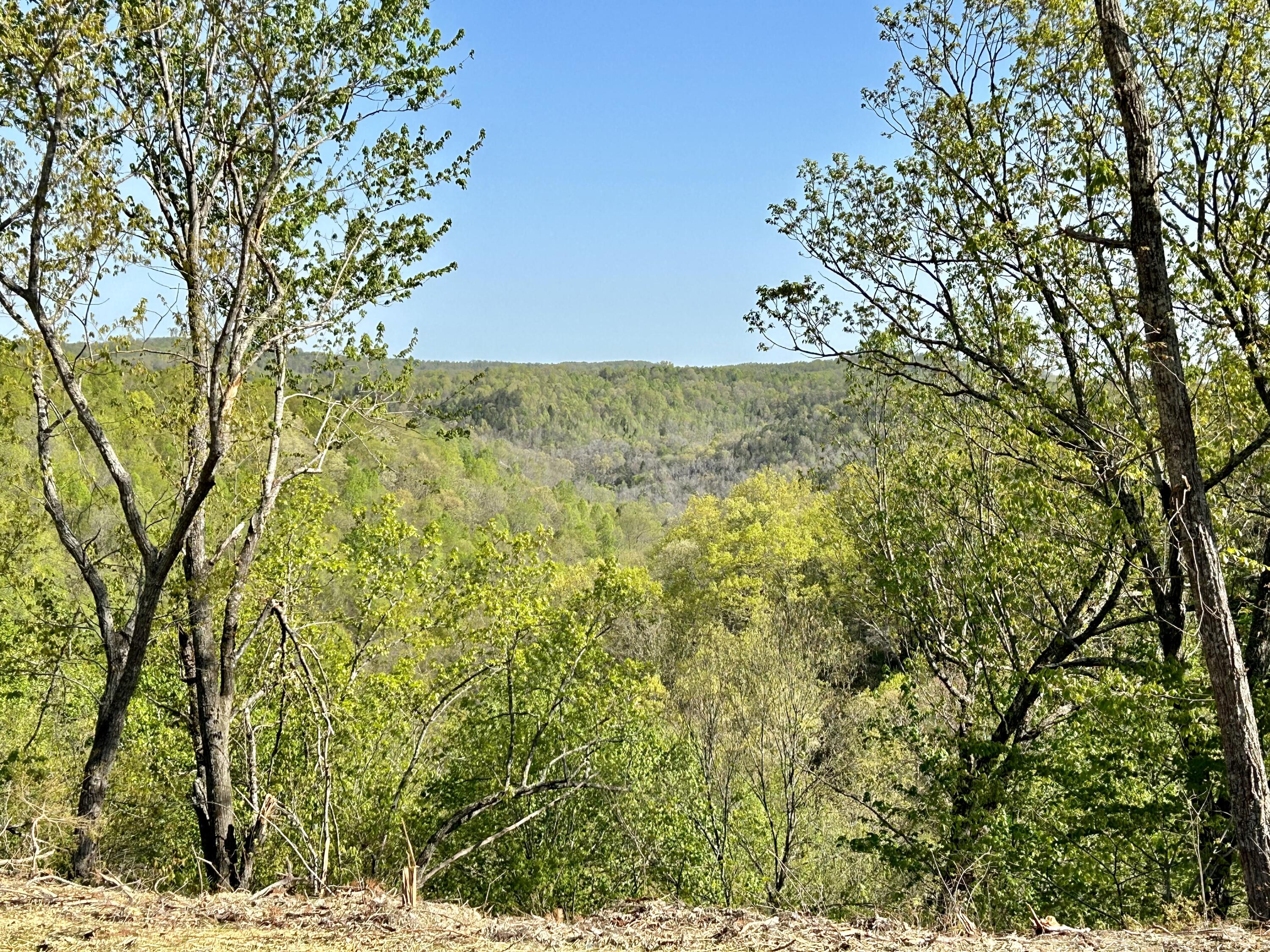 IMG_E3544