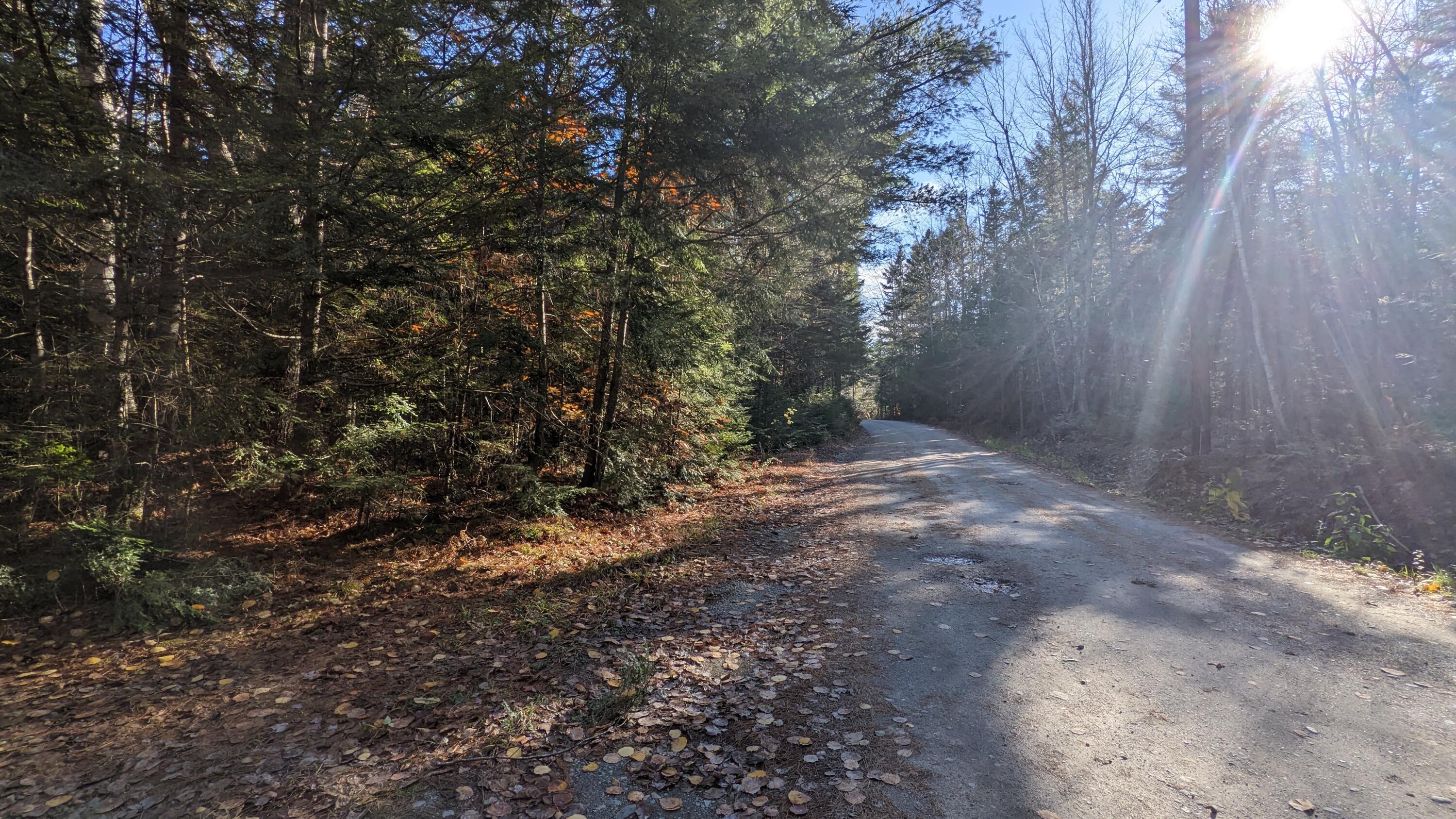 35 Silsby Road Ellsworth, ME 04605 - Photo 32 of 39 PXL_20221028_184623351