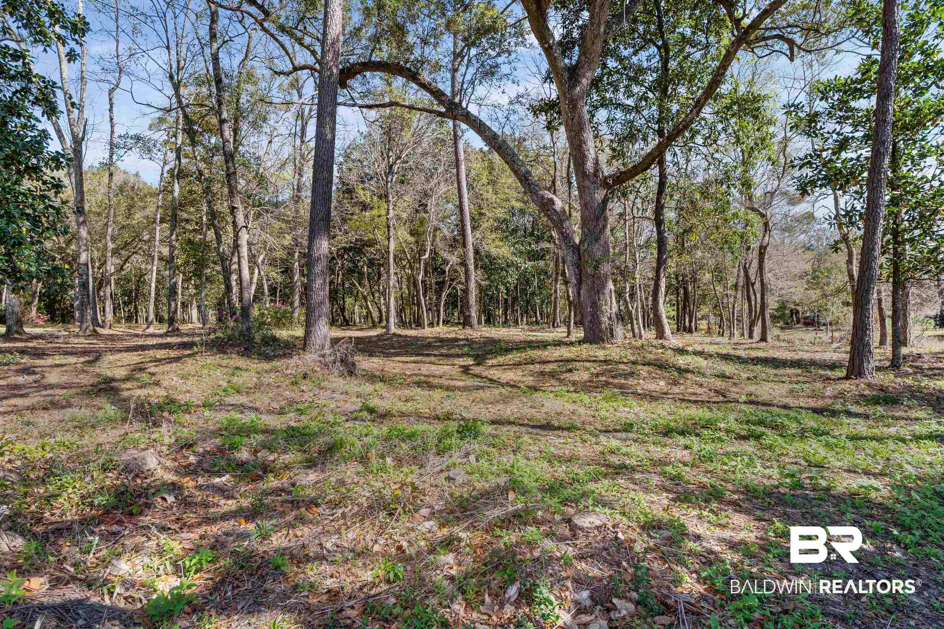 Forrest Street Mobile, AL 36605 - Photo 10 of 19