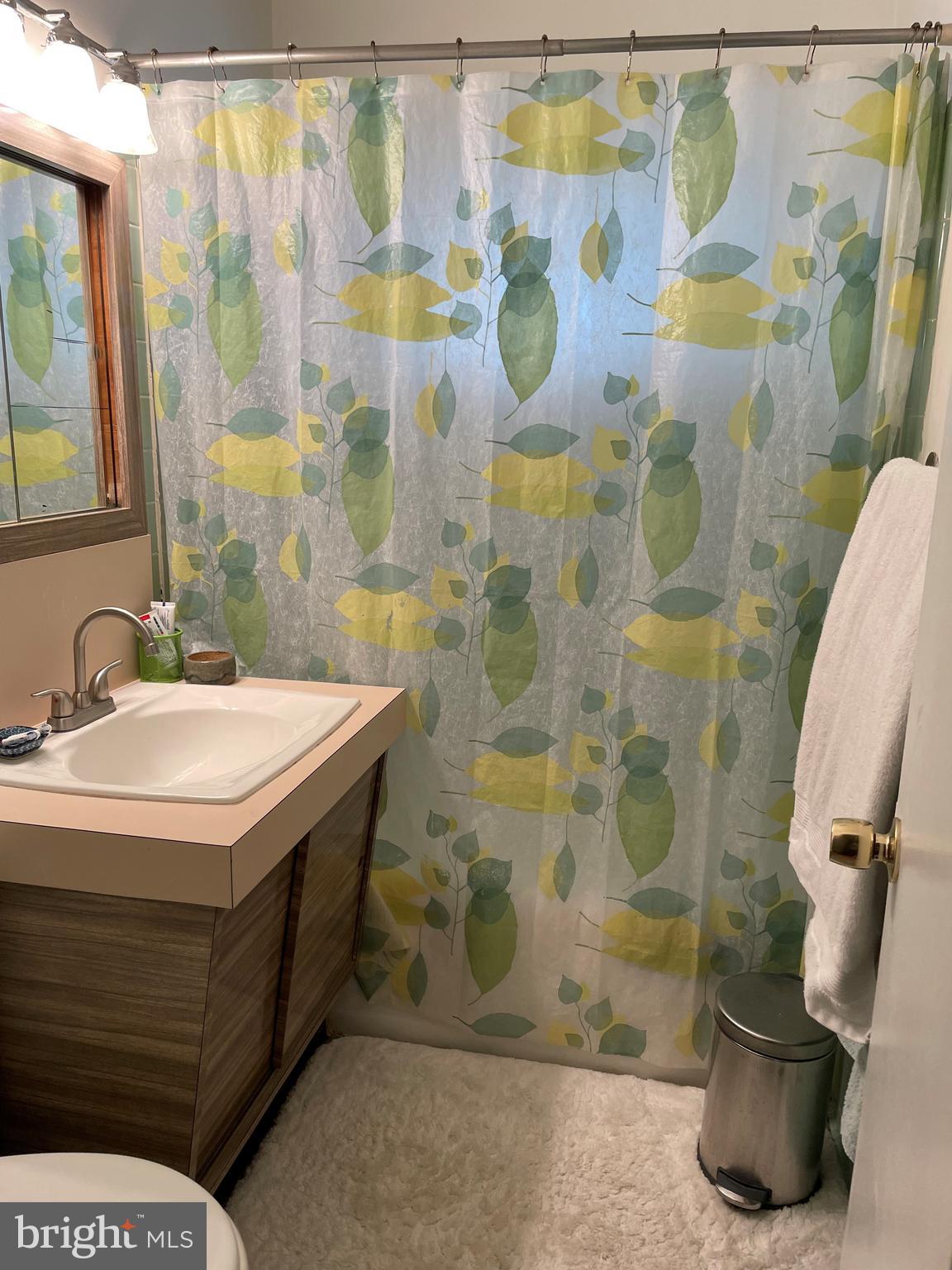 6903 Rosemont Drive McLean, VA 22101 - Photo 20 of 32 Hall bath