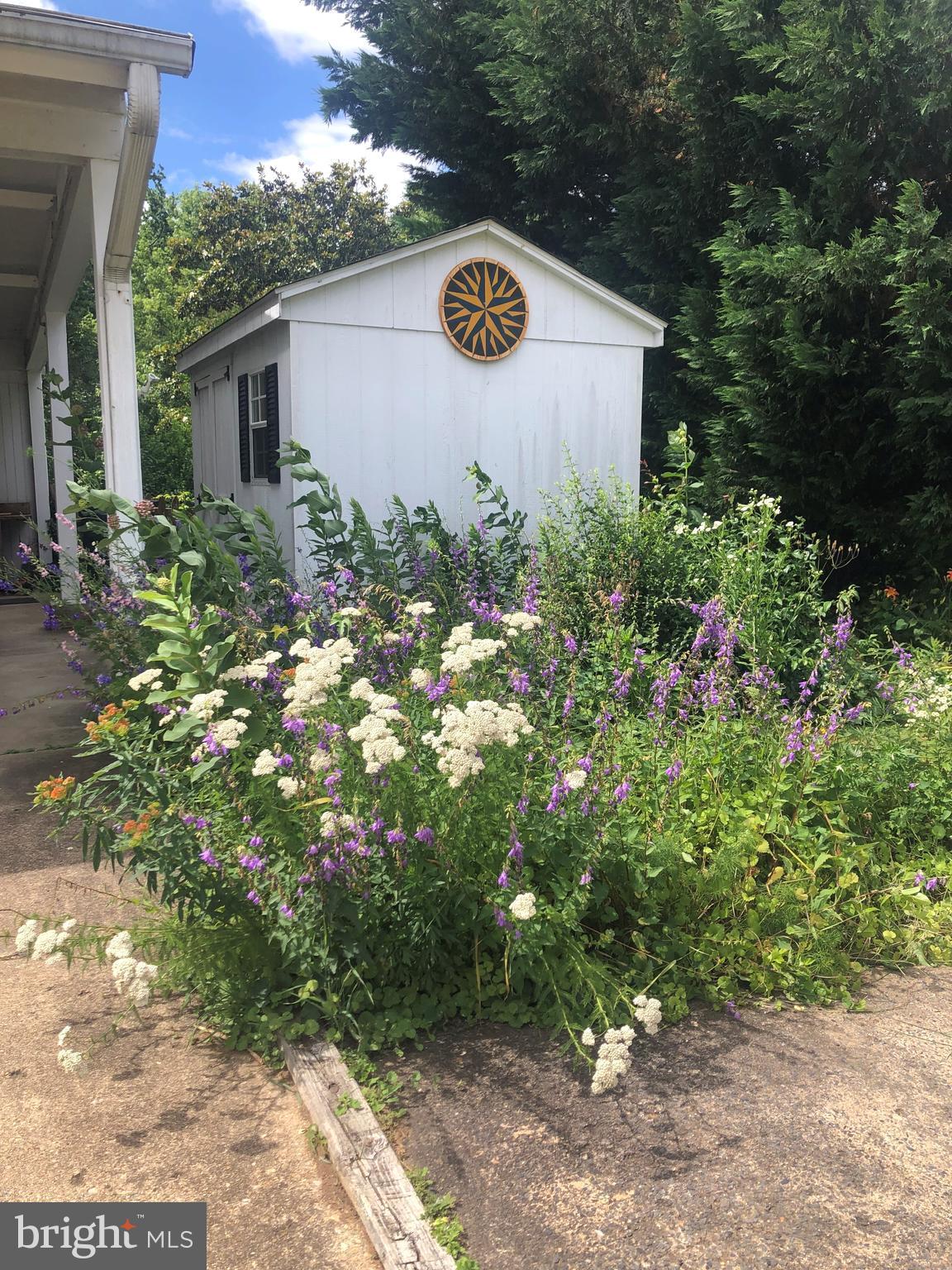 6903 Rosemont Drive McLean, VA 22101 - Photo 3 of 32 Beautiful landscaping