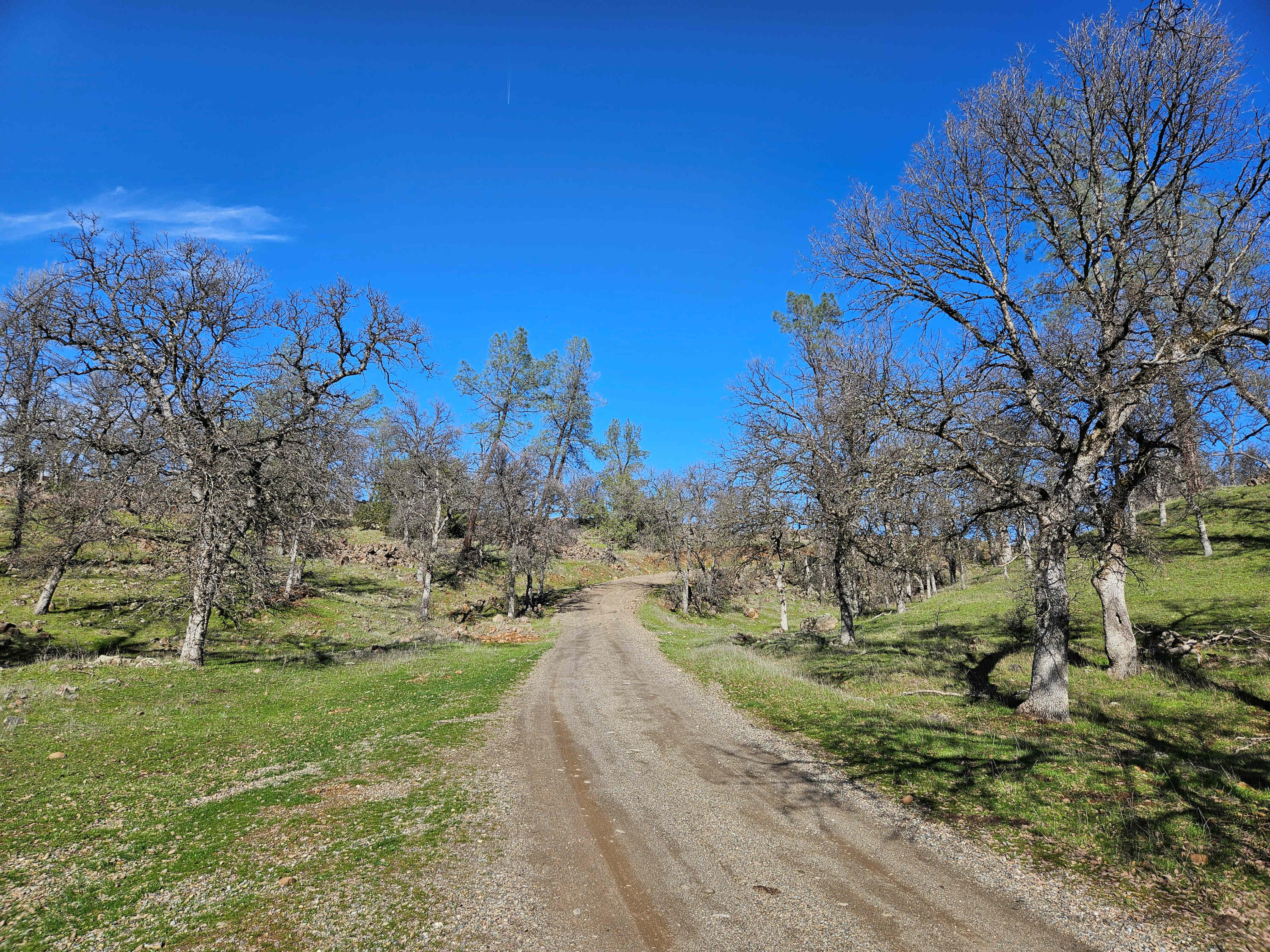 512-acres Hyrax Road Shingletown, CA 96088 - Photo 21 of 75 Driveway to 7255