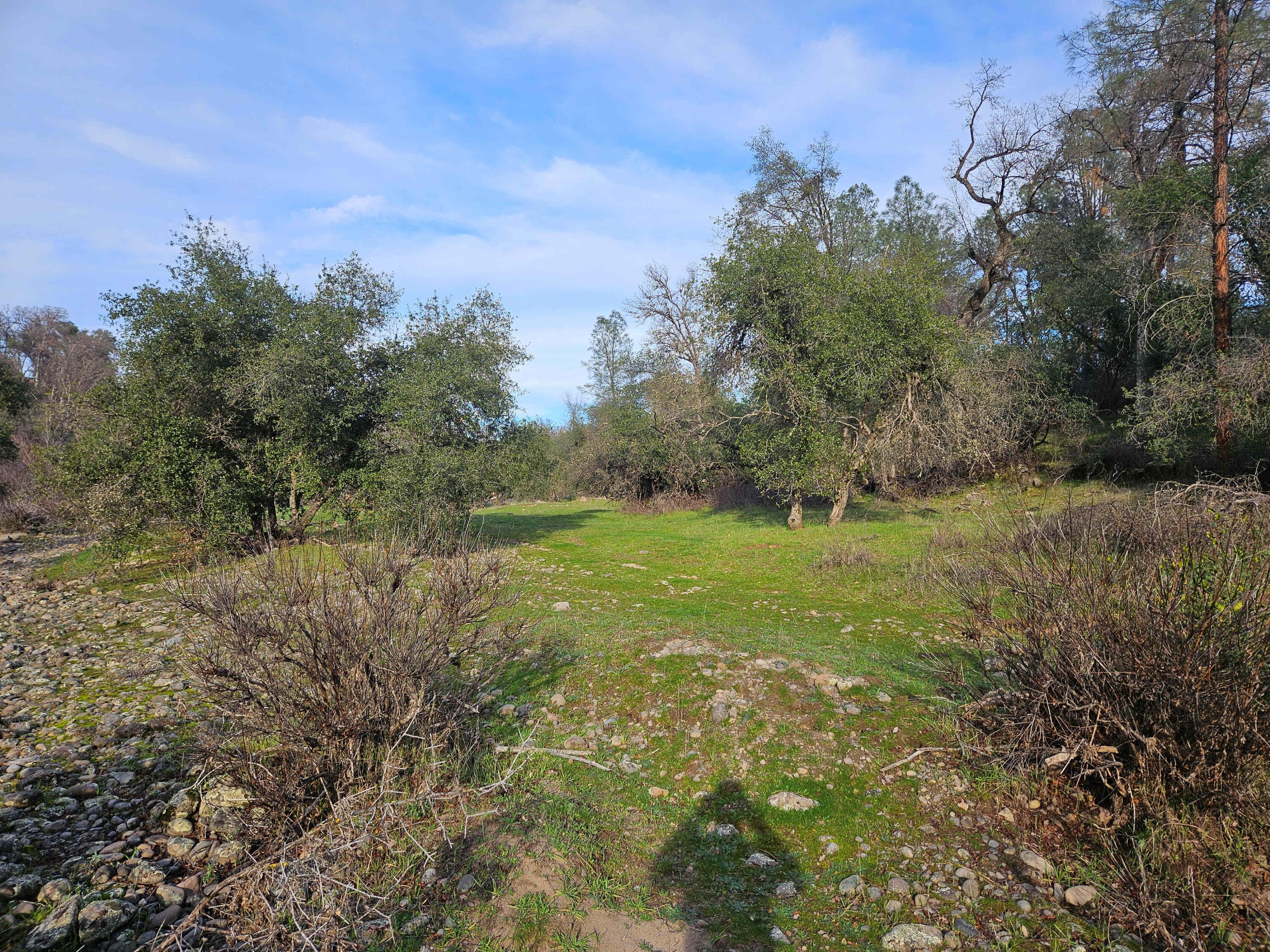 512-acres Hyrax Road Shingletown, CA 96088 - Photo 54 of 75 Open area near creek