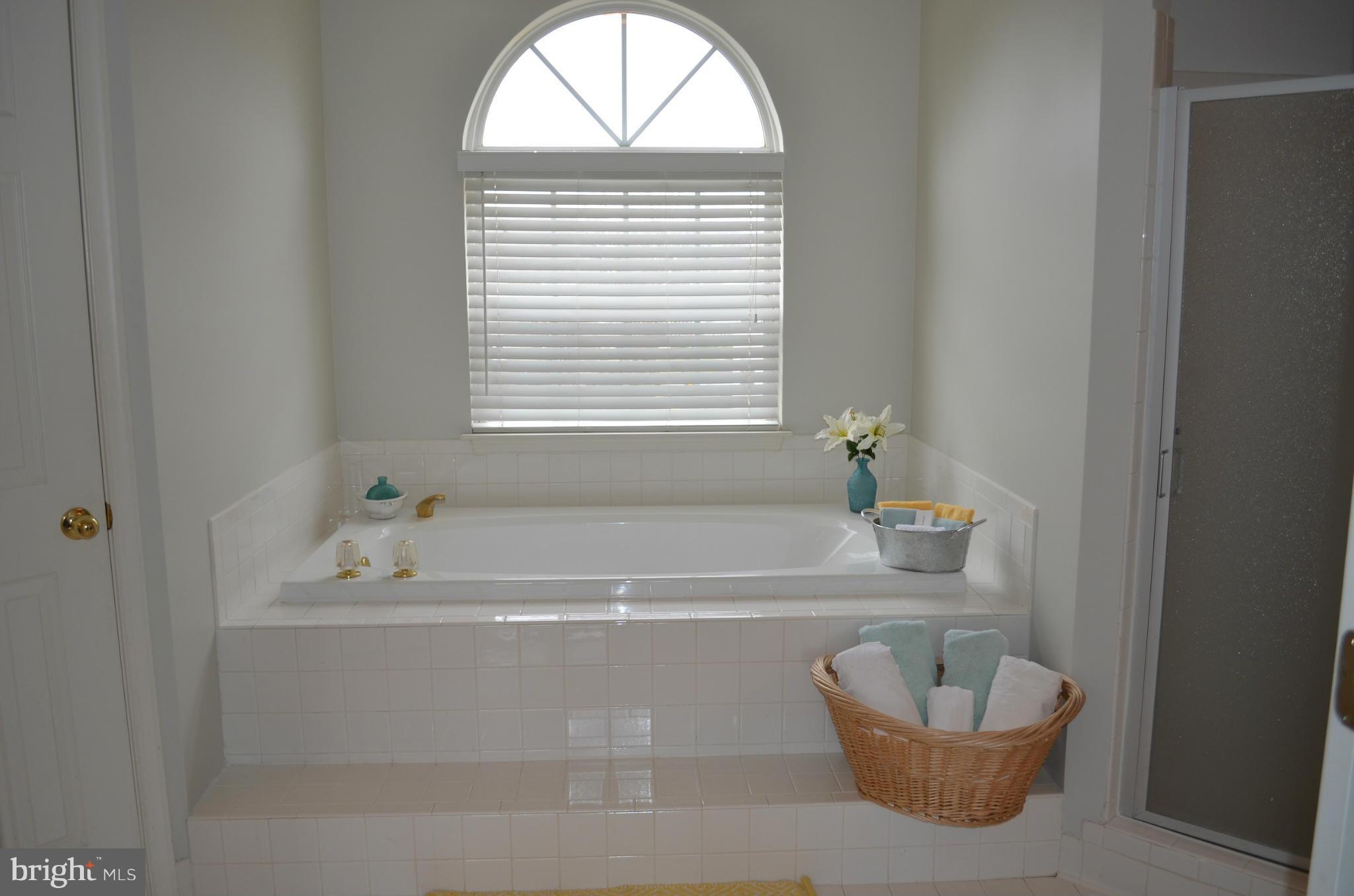 6318 Spring Forest Road Frederick, MD 21701 - Photo 14 of 30 Relax in your beautiful soaking tub, separate show