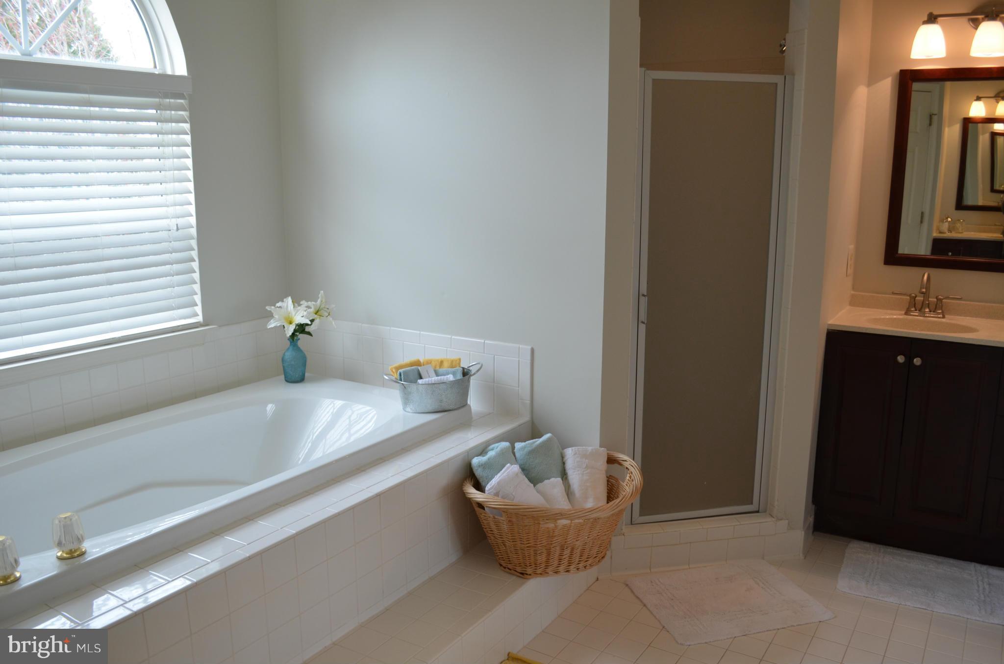 6318 Spring Forest Road Frederick, MD 21701 - Photo 15 of 30 Master bath with separate vanities