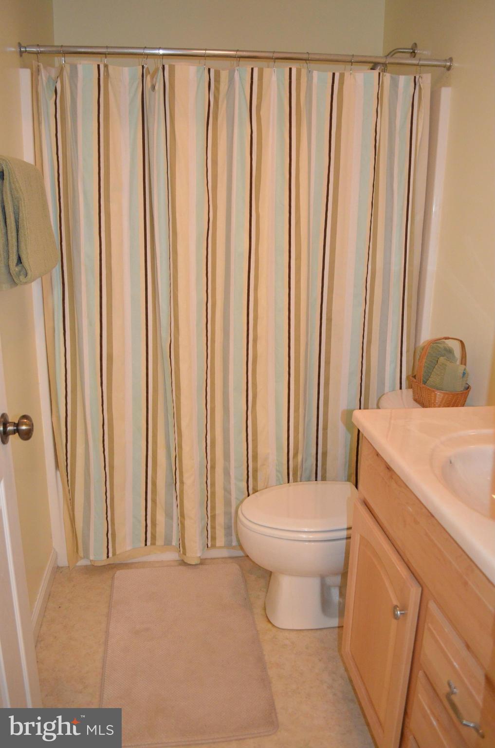 6318 Spring Forest Road Frederick, MD 21701 - Photo 23 of 30 Lower level FULL BATH