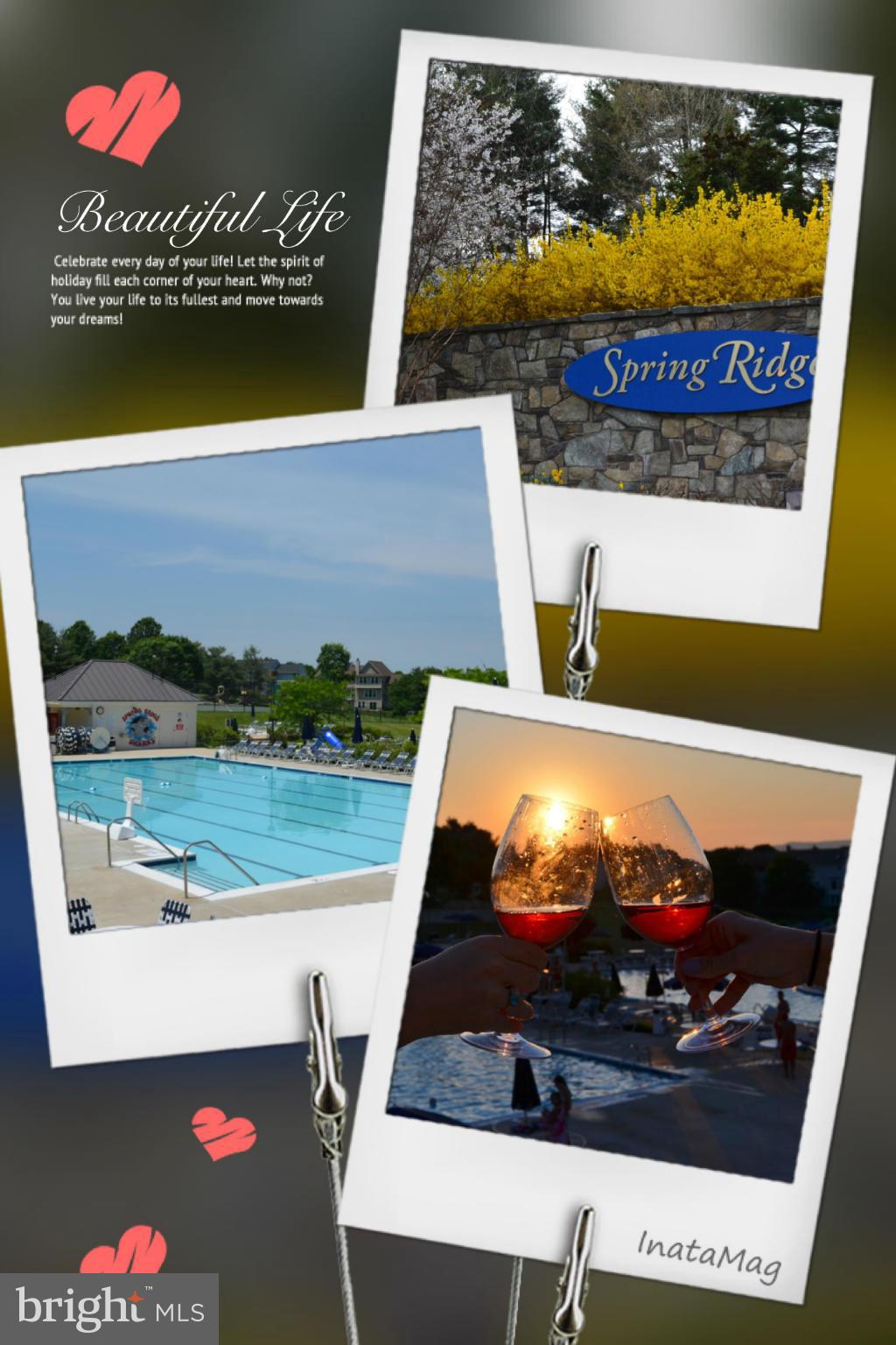 6318 Spring Forest Road Frederick, MD 21701 - Photo 30 of 30 Spring Ridge has it all! Hiking trails, tennis