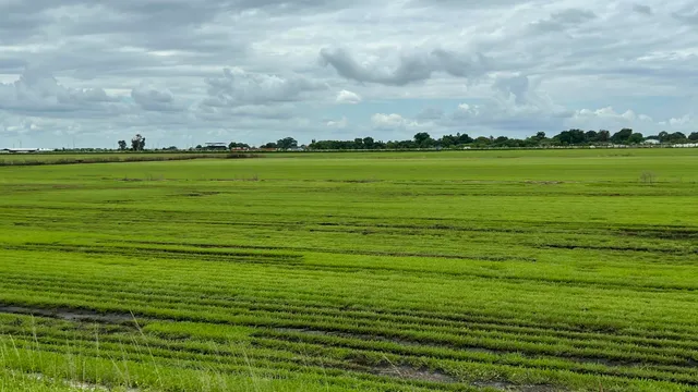 a view of a ocean with houses in the back yard