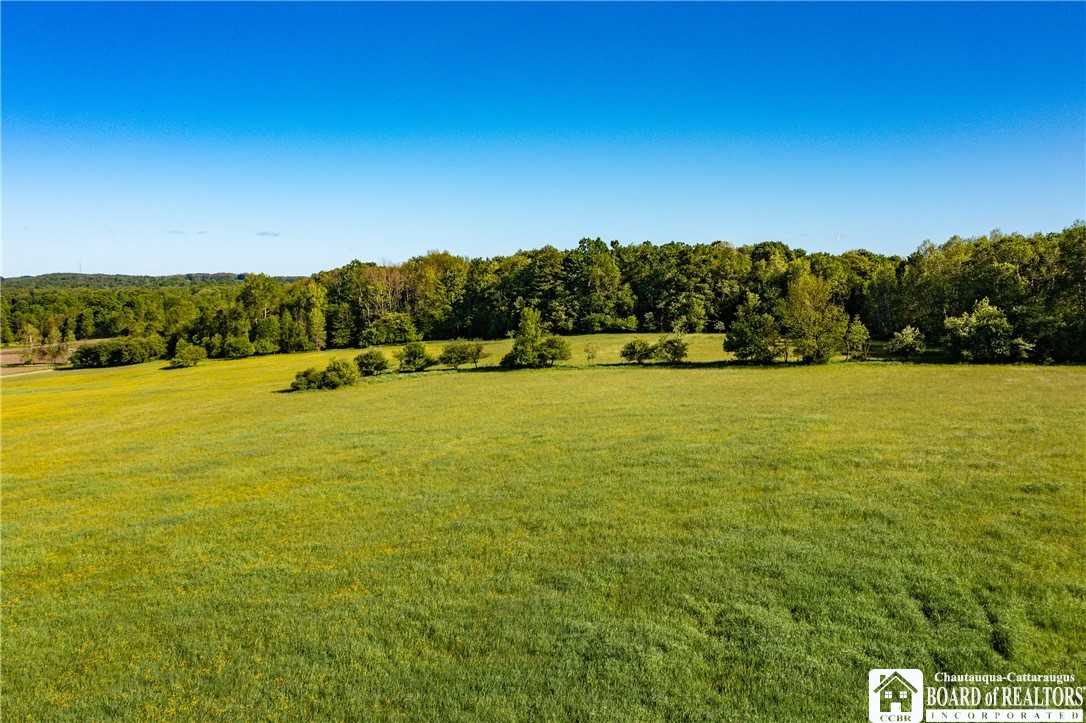 Sherman Road Ripley, NY 14775 - Photo 4 of 13