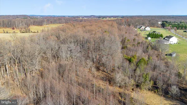 a close up of a plant in a garden