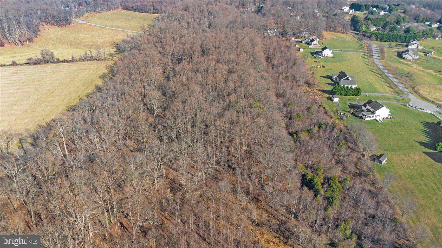 18.25 Sykesville Road Westminster, MD 21157 - Photo 14 of 14 a close up of a plant in a garden