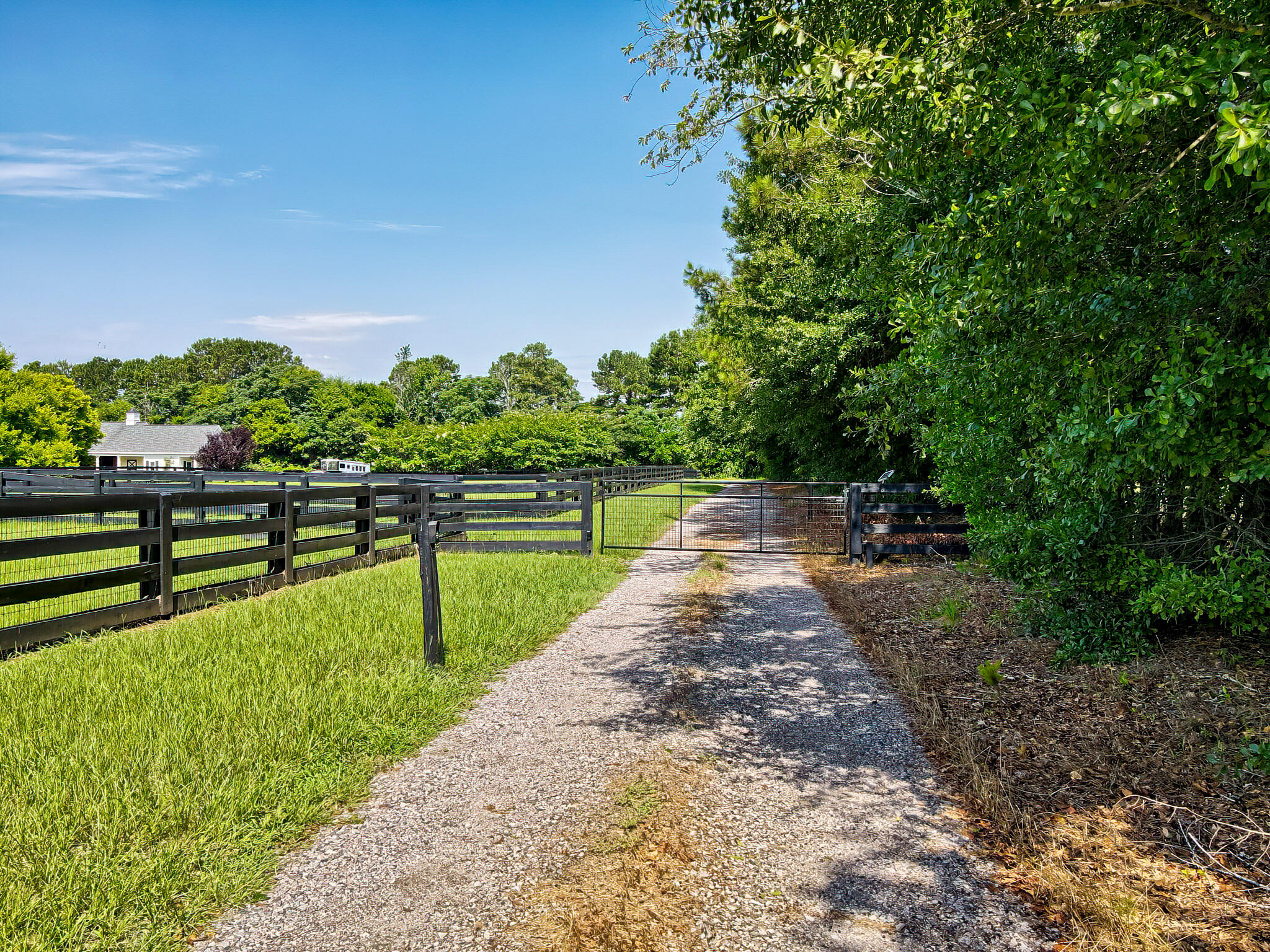 1290 Richardsons Lake Road Aiken, SC 29803 - Photo 68 of 101