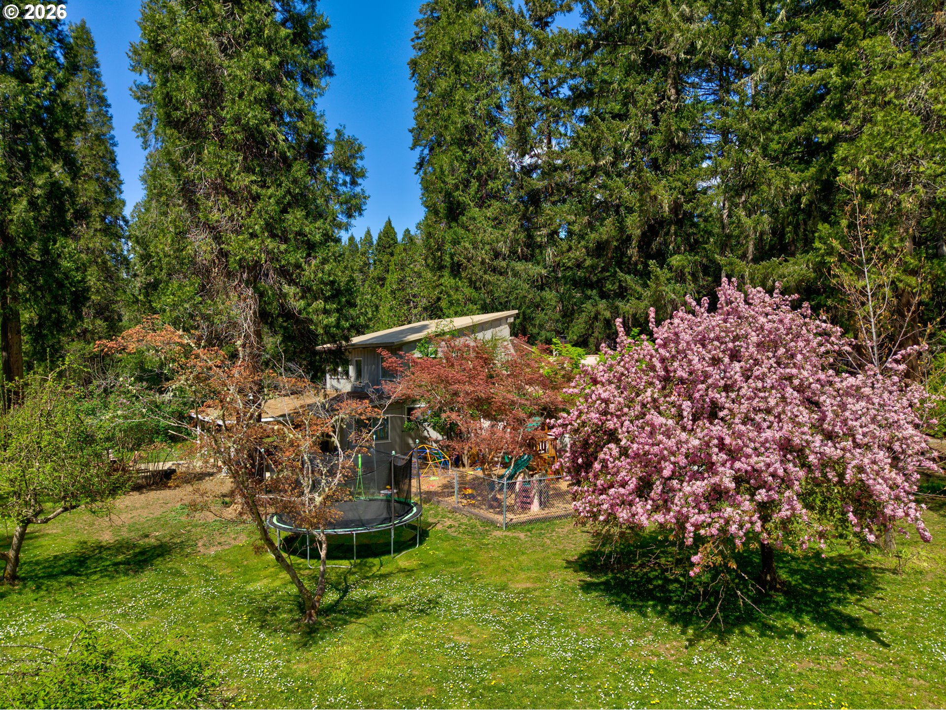 1293 Starveout Creek Road Azalea, OR 97410 - Photo 43 of 48