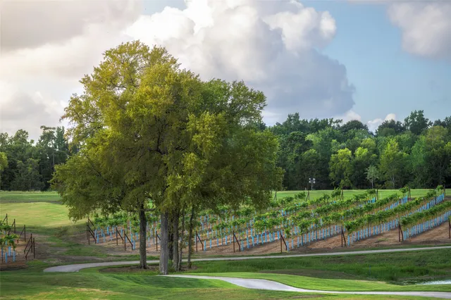 $613,925 | 10026 Larkin Cove, Willis, TX 77318