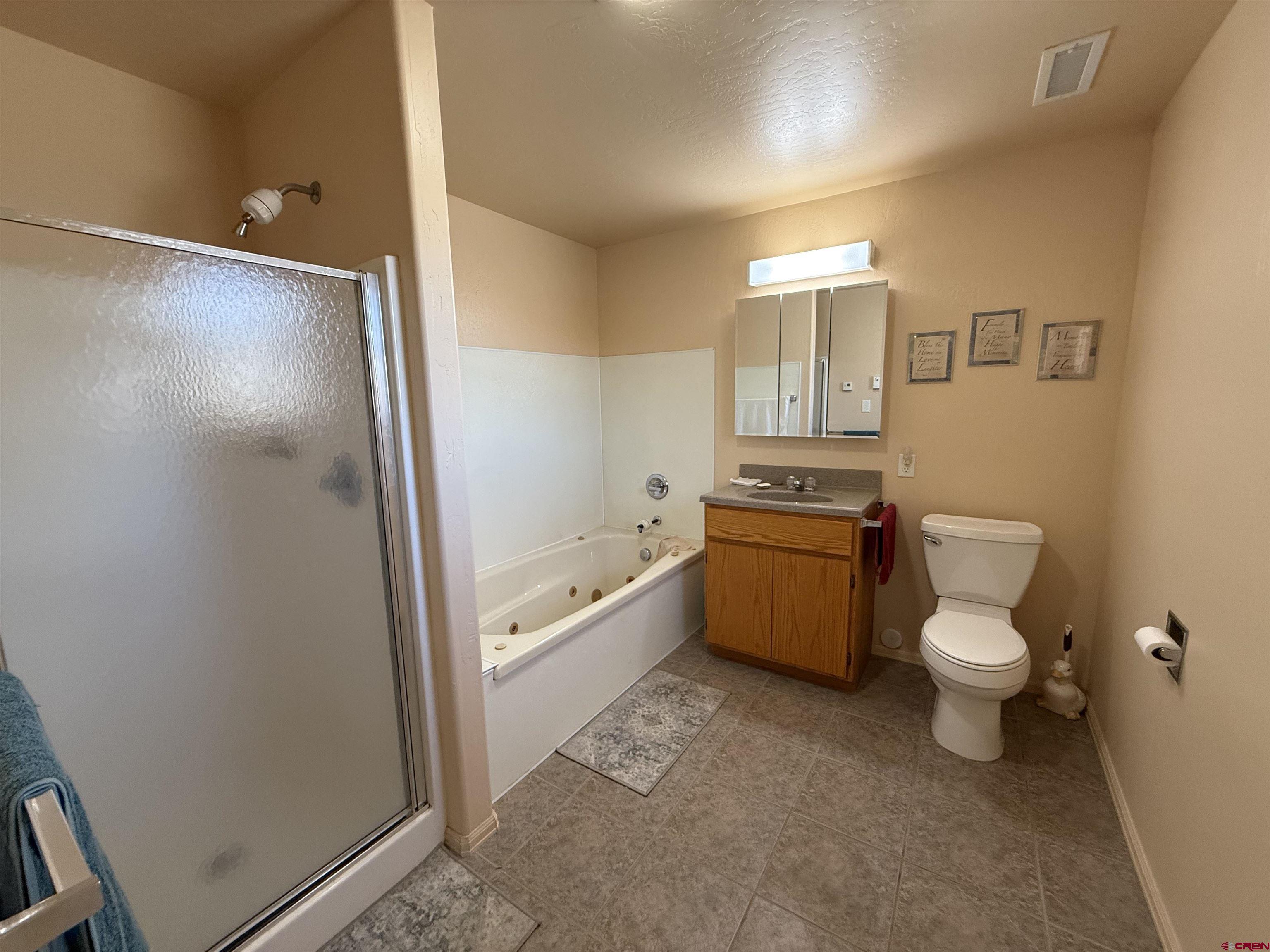 9940 2150th Road Austin, CO 81410 - Photo 17 of 44 a bathroom with a bathtub toilet and sink