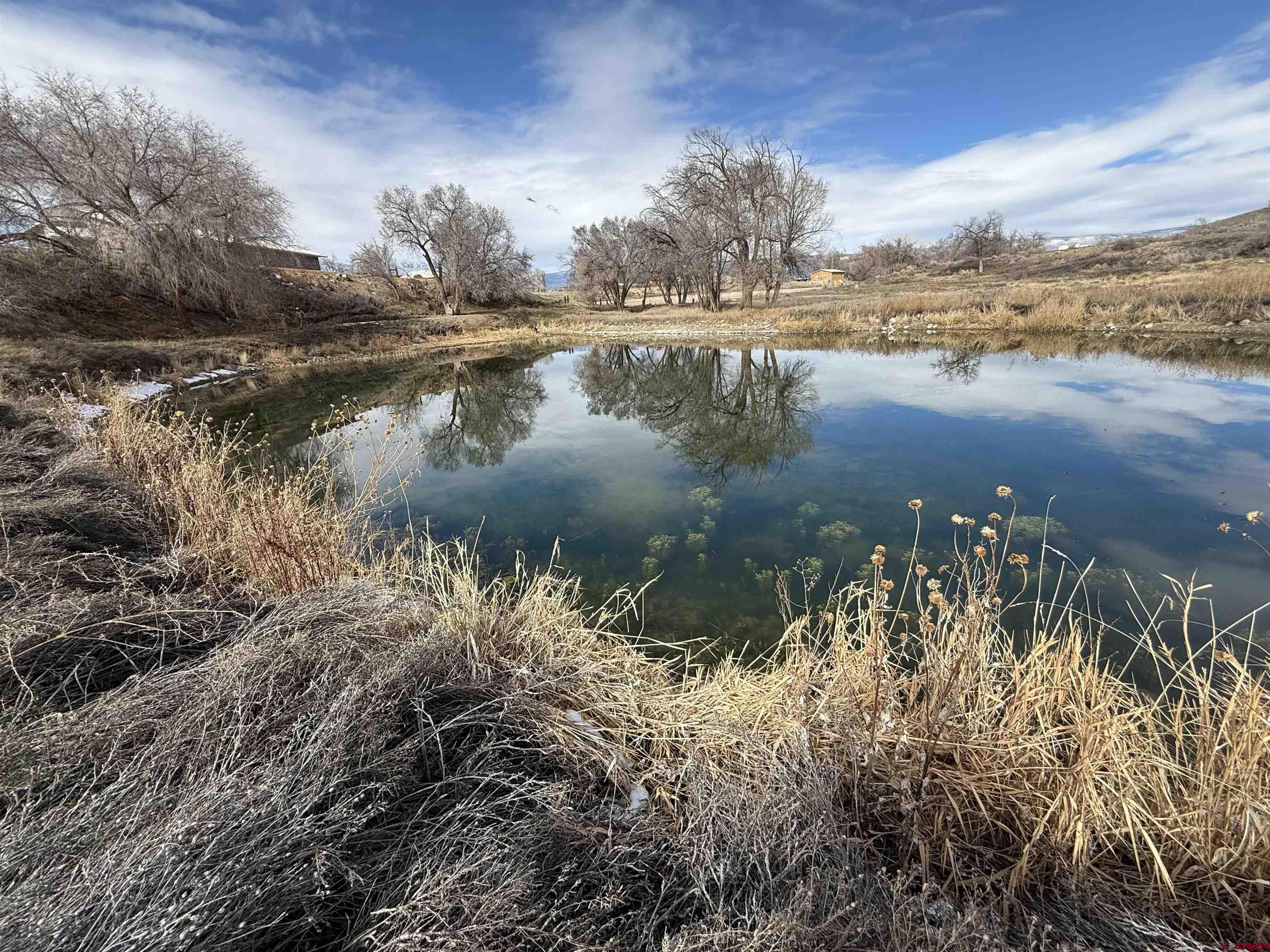 9940 2150th Road Austin, CO 81410 - Photo 30 of 44 a view of lake with green space