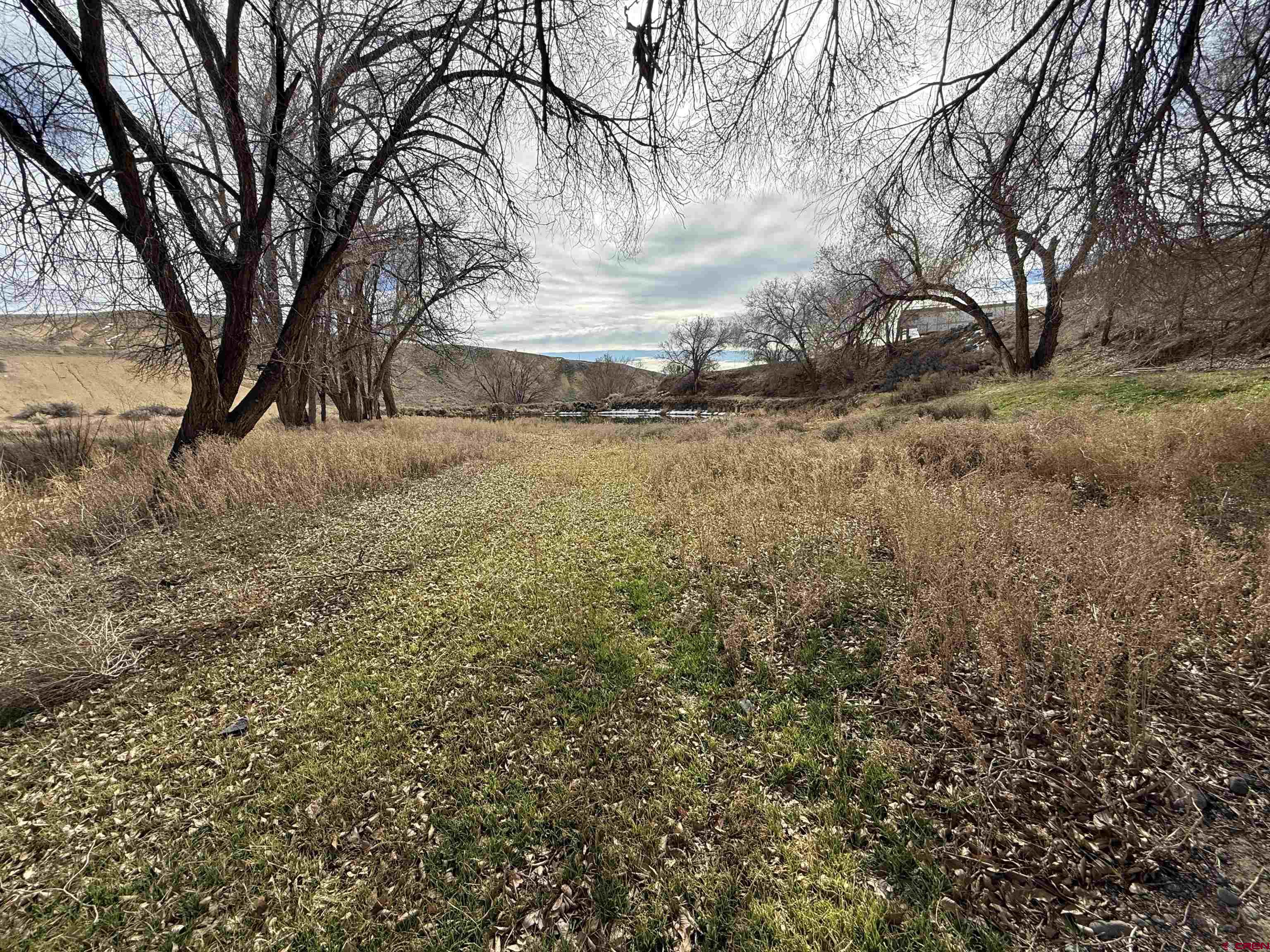 9940 2150th Road Austin, CO 81410 - Photo 31 of 44