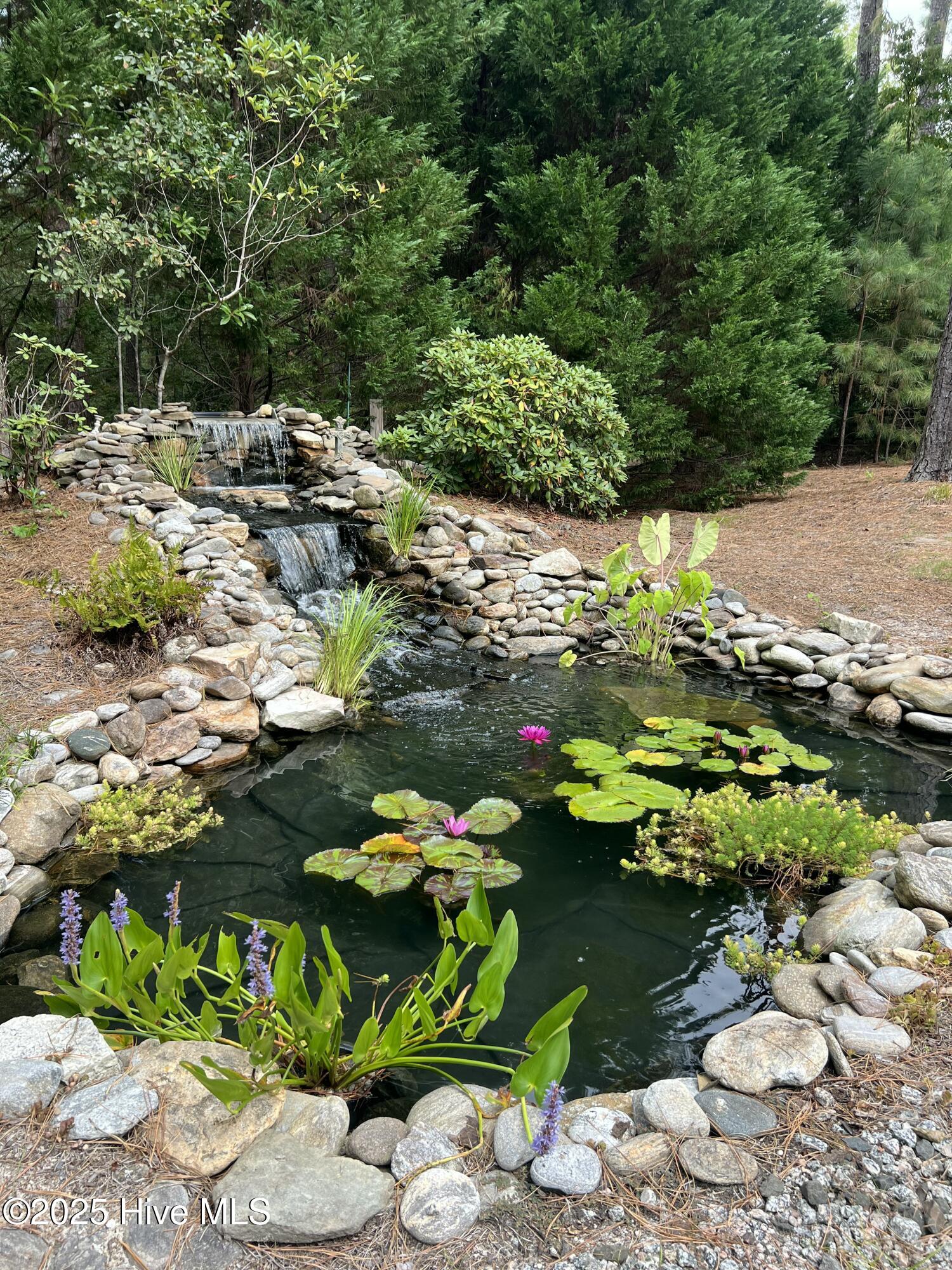 3 Clarendon Lane Pinehurst, NC 28374 - Photo 18 of 29 pond