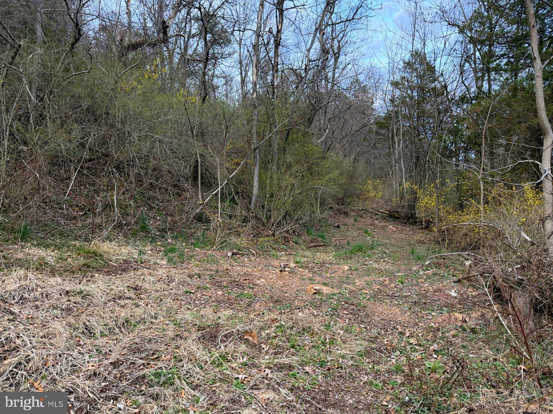 0 Deitrich Road Halifax, PA 17032 - Photo 3 of 13