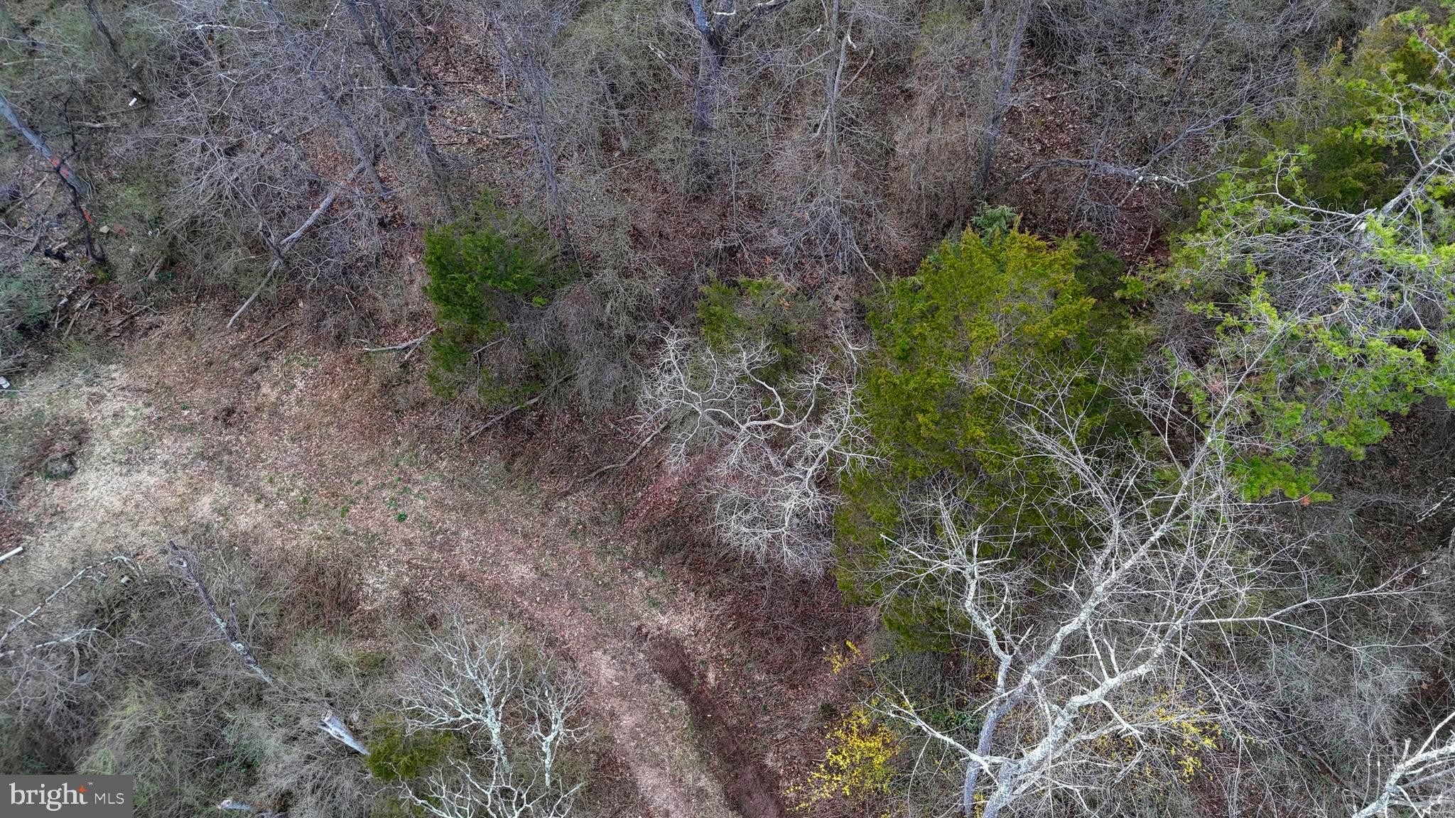 0 Deitrich Road Halifax, PA 17032 - Photo 9 of 13