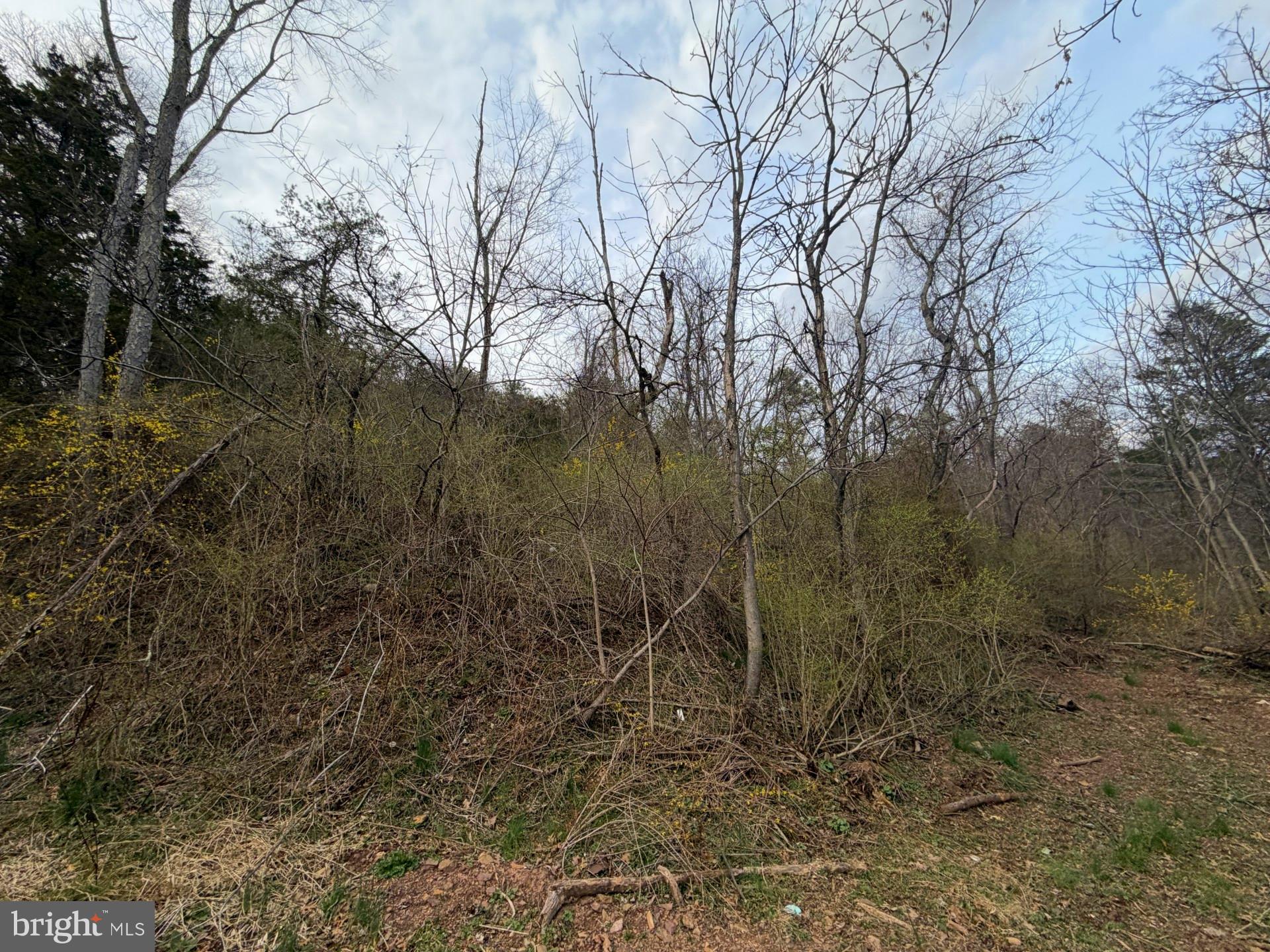 0 Deitrich Road Halifax, PA 17032 - Photo 10 of 13
