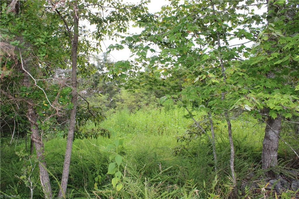 1662 Ralph Joyce Road Sandy Ridge, NC 27046 - Photo 28 of 33