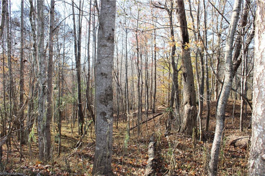 1662 Ralph Joyce Road Sandy Ridge, NC 27046 - Photo 29 of 33