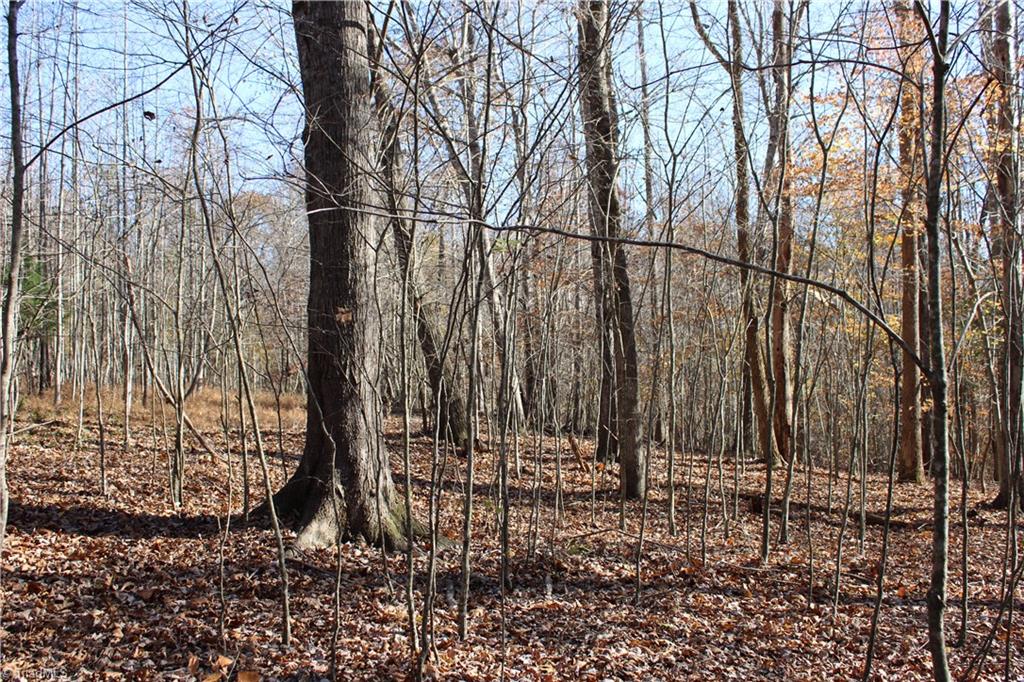 1662 Ralph Joyce Road Sandy Ridge, NC 27046 - Photo 30 of 33