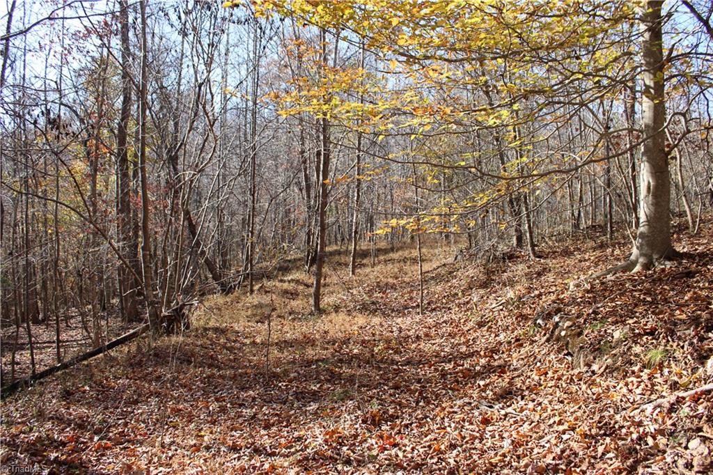 1662 Ralph Joyce Road Sandy Ridge, NC 27046 - Photo 31 of 33