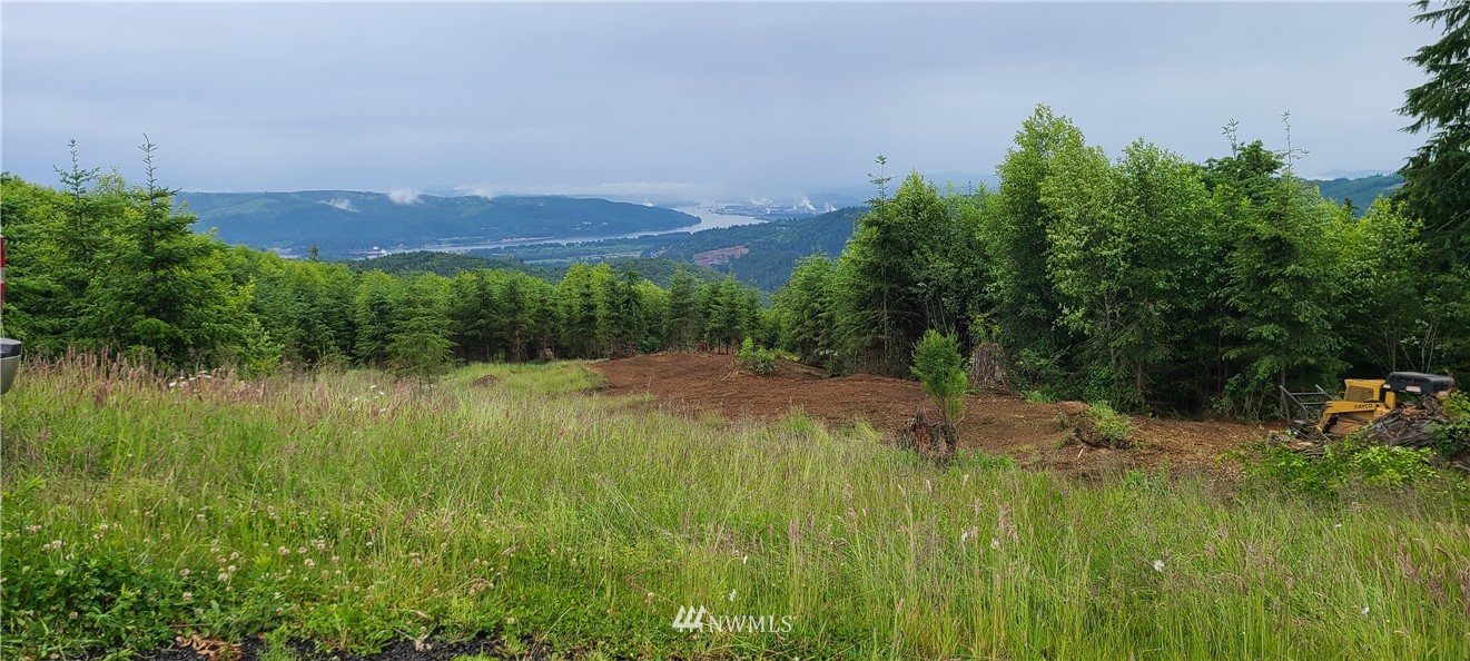 10 Garnet Road Kalama, WA 98625 - Photo 1 of 6 a view of a lush green outdoor space