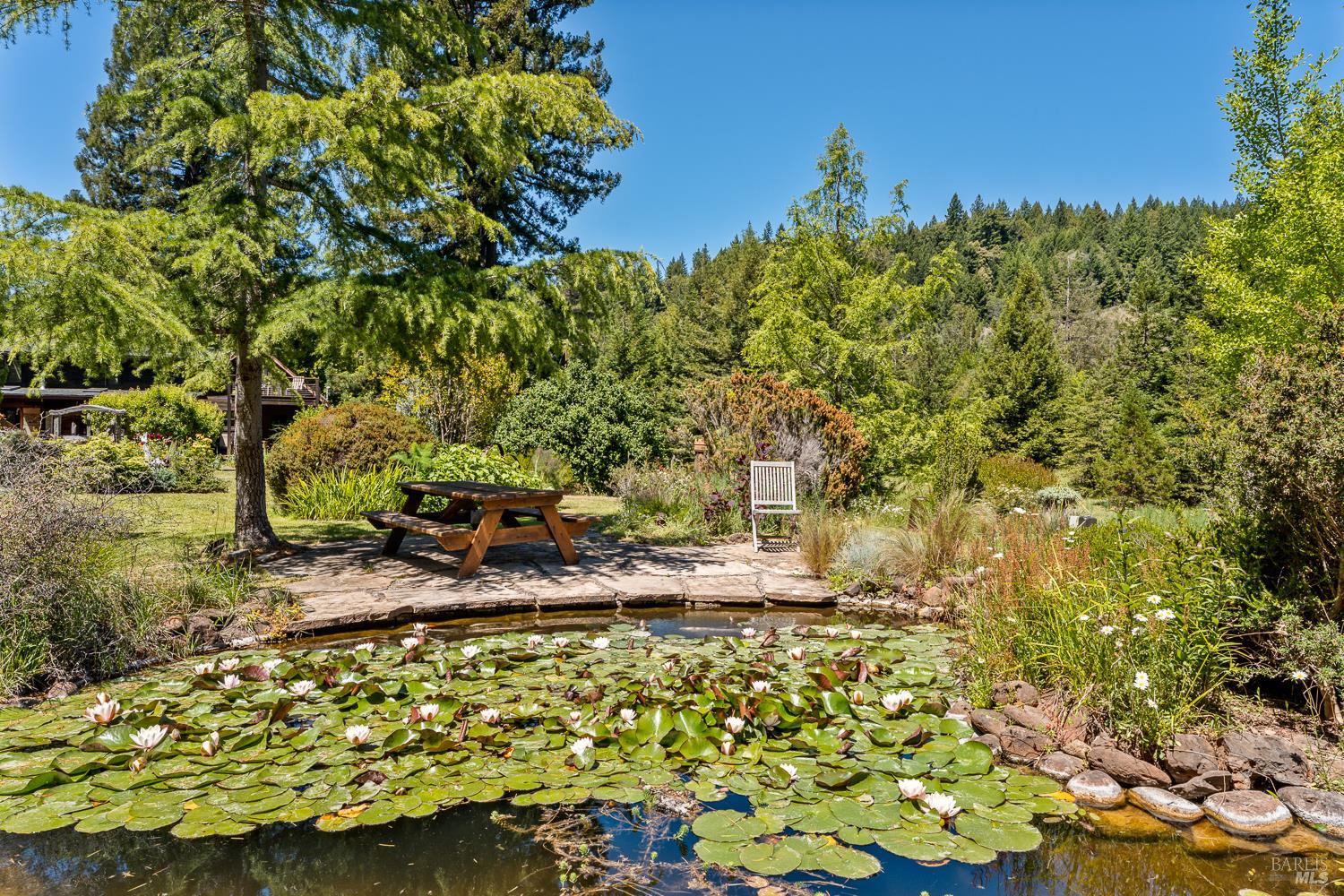 31501 Comptche Ukiah Road Comptche, CA 95427 - Photo 13 of 85 Koi Pond