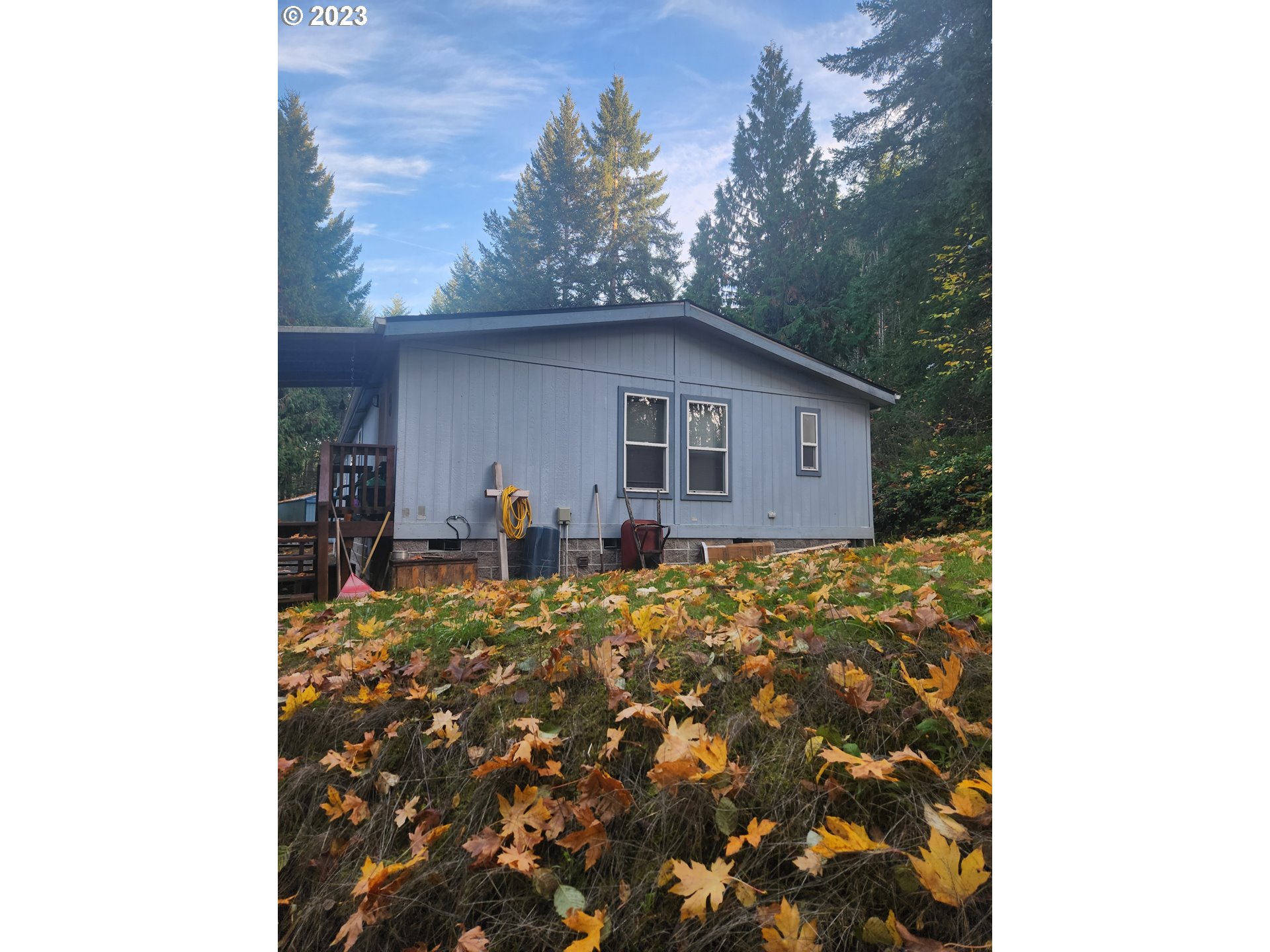 64350 Pinkney Road Deer Island, OR 97054 - Photo 4 of 27 Yard