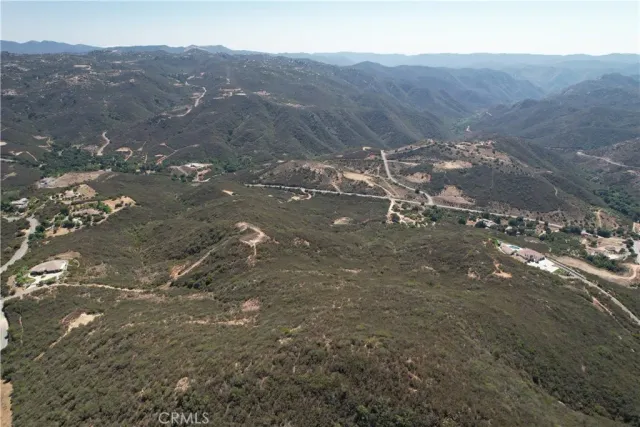 a view of a tree in a field