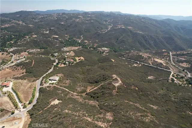 a view of a tree in a field with a tree