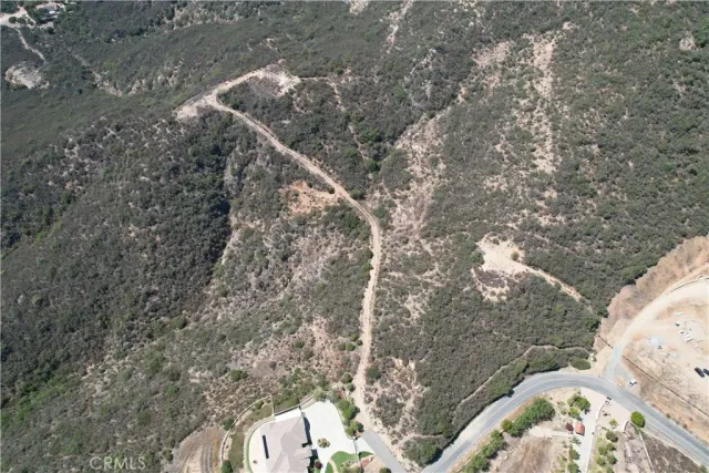 a view of a tree in a yard