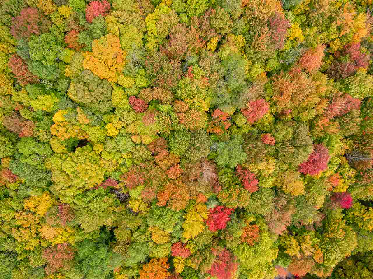 1424 Wade Pasture Road, Unit 96 AND 97 Stowe, VT 05672 - Photo 12 of 15 Gallery Image 12