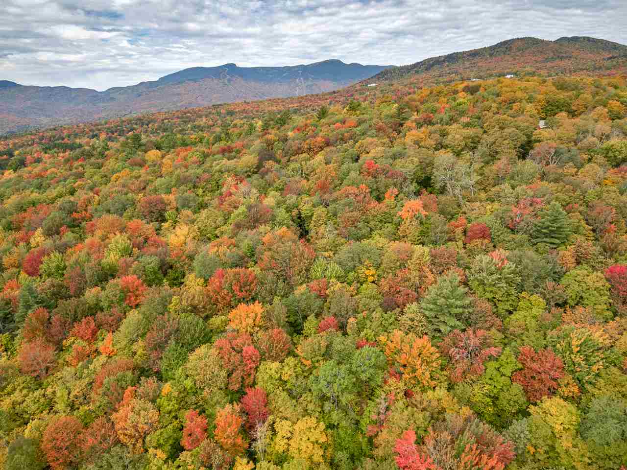 1424 Wade Pasture Road, Unit 96 AND 97 Stowe, VT 05672 - Photo 4 of 15 Gallery Image 4