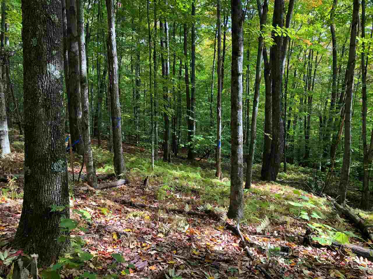 1424 Wade Pasture Road, Unit 96 AND 97 Stowe, VT 05672 - Photo 7 of 15 Gallery Image 7