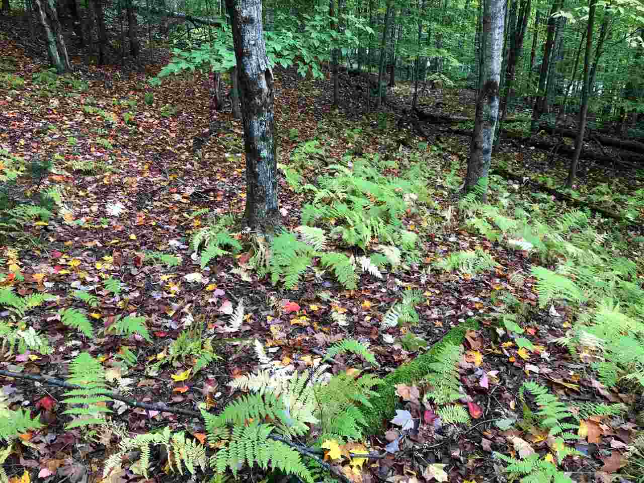 1424 Wade Pasture Road, Unit 96 AND 97 Stowe, VT 05672 - Photo 8 of 15 Gallery Image 8