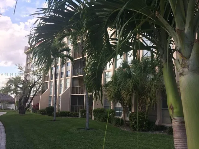 a view of a yard with plants and palm trees