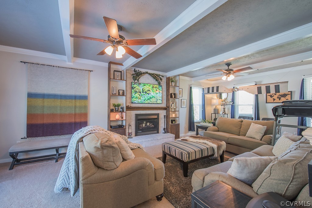 1532 Austin Road Chester, VA 23836 - Photo 28 of 50 a living room with furniture a fireplace and a flat screen tv