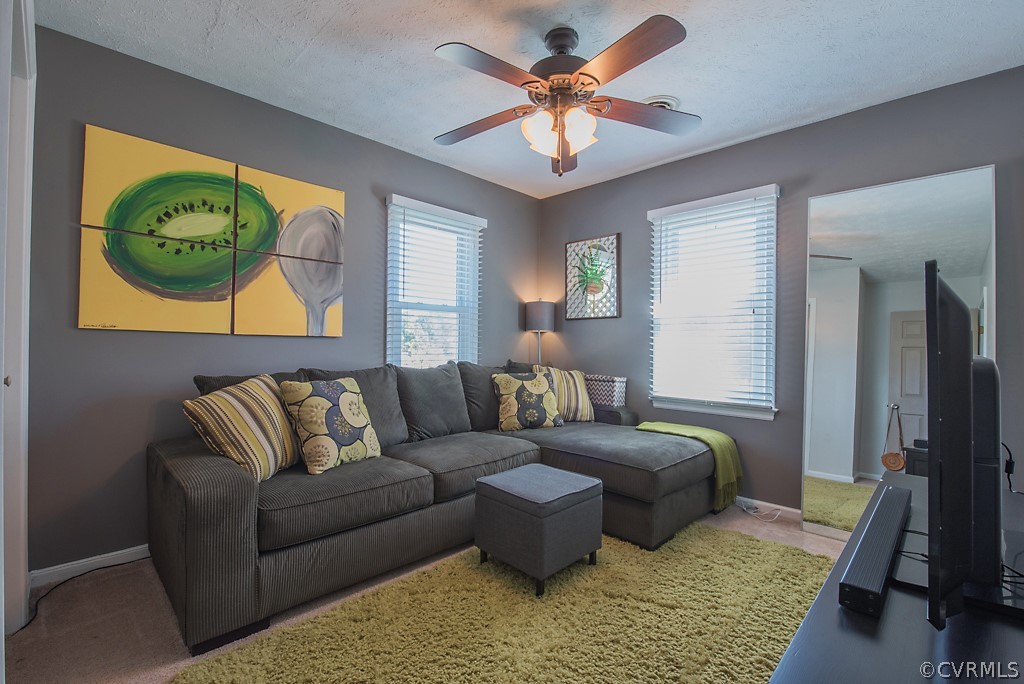 1532 Austin Road Chester, VA 23836 - Photo 39 of 50 a living room with furniture and a rug