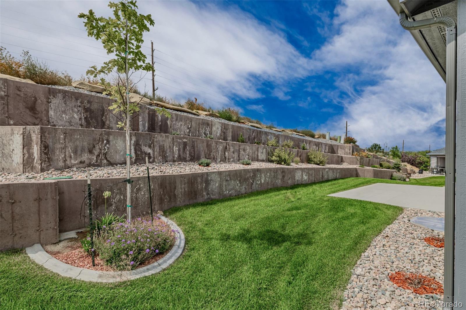 407 Double Tree Drive Greeley, CO 80634 - Photo 43 of 50 a view of a backyard with plants and a patio