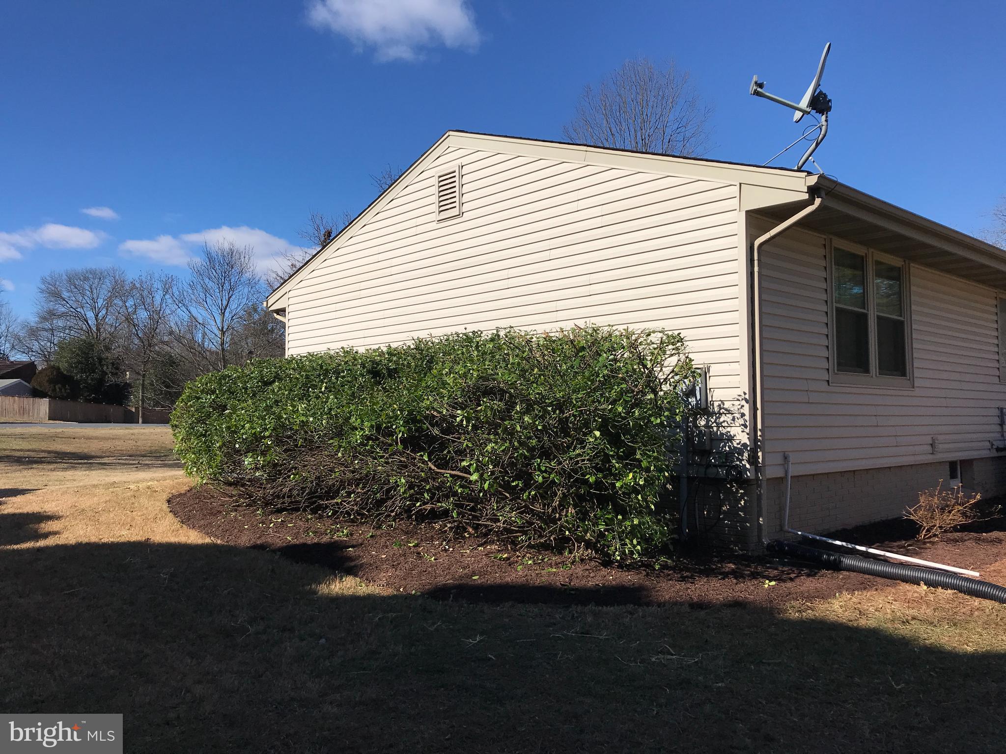 17501 Collier Circle Poolesville, MD 20837 - Photo 34 of 34 Side with mature shrubs